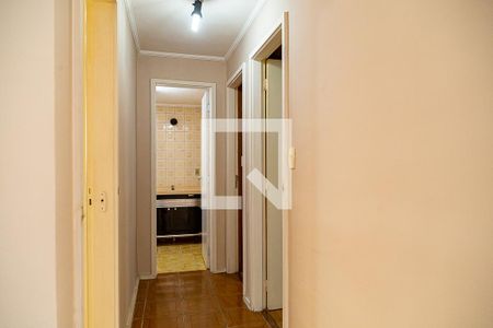 Sala - Corredor de apartamento para alugar com 2 quartos, 51m² em Jabaquara, São Paulo