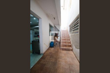 Casa à venda com 552m², 5 quartos e 3 vagas Casa à venda com 552m², 5 quartos e 3 vagasQuintal