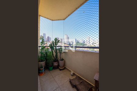 Sala - Varanda de apartamento à venda com 3 quartos, 73m² em Perdizes, São Paulo
