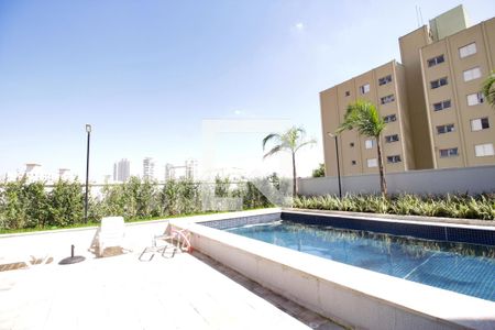 Área comum - Piscina de apartamento para alugar com 2 quartos, 35m² em Vila Inglesa, São Paulo