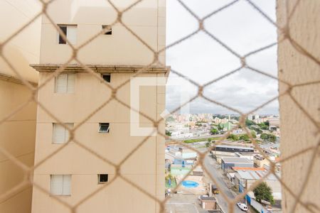 Vista do Quarto 1 de apartamento para alugar com 2 quartos, 50m² em Vila Palmares, Santo André