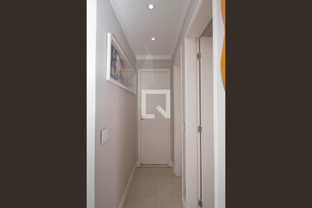 Corredor de apartamento à venda com 2 quartos, 53m² em Vila Cruz das Almas, São Paulo