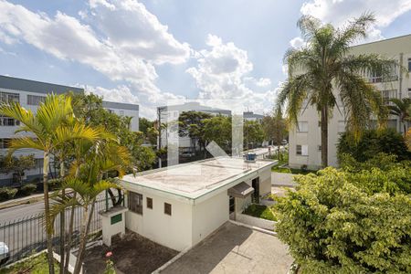 Vista de apartamento à venda com 3 quartos, 78m² em Cidade das Flores, Osasco