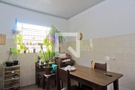 Cozinha de kitnet/studio para alugar com 1 quarto, 66m² em Vila Palmeiras, São Paulo