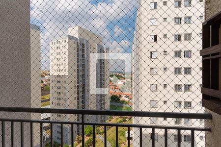 Sacada da Sala de apartamento para alugar com 2 quartos, 53m² em Vila Mimosa, Campinas