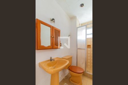 Banheiro de apartamento para alugar com 1 quarto, 52m² em Santa Tereza, Porto Alegre