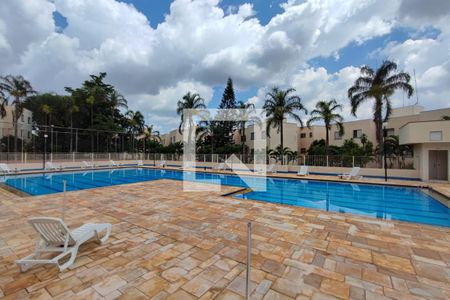 Área comum - Piscina de apartamento à venda com 2 quartos, 60m² em Jardim García, Campinas