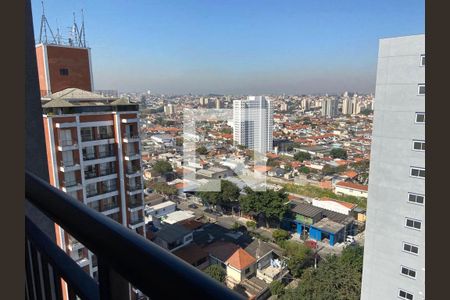 Apartamento à venda com 3 quartos, 81m² em Vila Santa Catarina, São Paulo