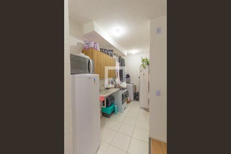 Cozinha e Área de Serviço de apartamento para alugar com 2 quartos, 42m² em Mato Grande, Canoas