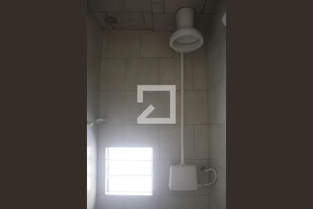 Banheiro de apartamento para alugar com 1 quarto, 38m² em Passo do Feijó, Alvorada