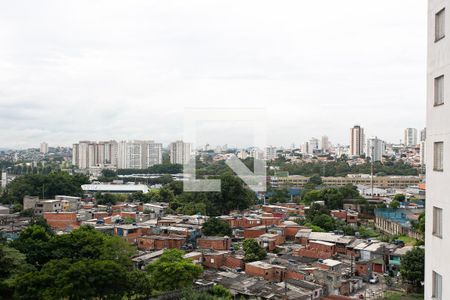 Vista da Varanda de apartamento para alugar com 2 quartos, 48m² em Vila Moreira, São Paulo