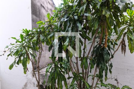 Vista da Sala de apartamento para alugar com 2 quartos, 65m² em Grajau, Rio de Janeiro