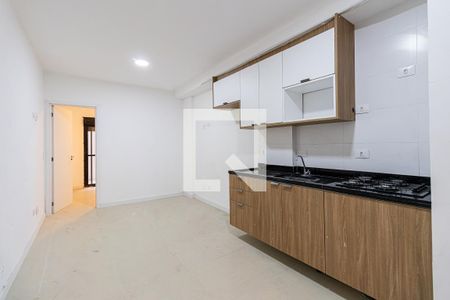 Sala / Cozinha de apartamento para alugar com 1 quarto, 30m² em Vila Zilda, São Paulo