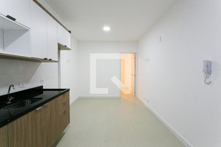 Cozinha de apartamento para alugar com 1 quarto, 30m² em Vila Zilda, São Paulo