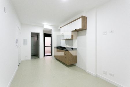 Cozinha de apartamento para alugar com 1 quarto, 30m² em Vila Zilda, São Paulo