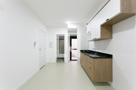 Cozinha de apartamento para alugar com 1 quarto, 30m² em Vila Zilda, São Paulo