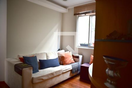Sala 2 de apartamento à venda com 4 quartos, 110m² em Santo Antônio, Belo Horizonte
