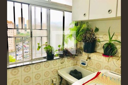 Apartamento à venda com 3 quartos, 77m² em Parque Mandaqui, São Paulo