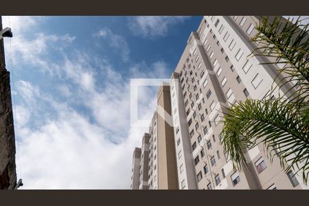 Área comum de apartamento para alugar com 2 quartos, 40m² em Vila Moreira, São Paulo