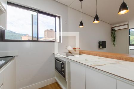 Cozinha de apartamento para alugar com 1 quarto, 40m² em Córrego Grande, Florianópolis