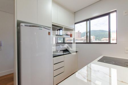 Cozinha de apartamento para alugar com 1 quarto, 40m² em Córrego Grande, Florianópolis