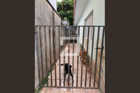 Casa para alugar com 180m², 4 quartos e sem vaga Casa para alugar com 180m², 4 quartos e sem vagaCanil