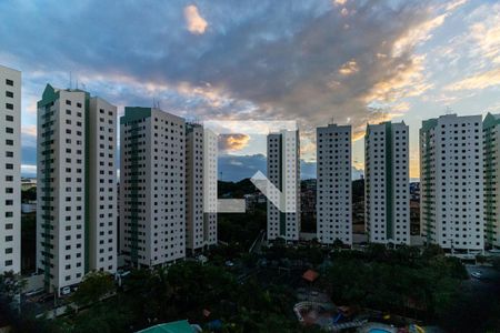 Vista do Quarto 1 de apartamento para alugar com 2 quartos, 51m² em Jardim das Flores, São Paulo