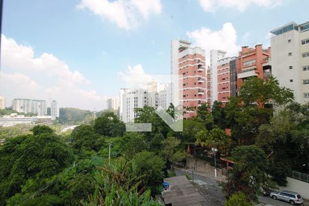 Vista do Quarto 1 de apartamento à venda com 2 quartos, 50m² em Jardim Ampliação, São Paulo