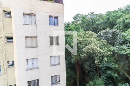 Vista do Quarto 1 de apartamento para alugar com 3 quartos, 70m² em Parque Munhoz, São Paulo