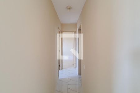 corredor de apartamento para alugar com 2 quartos, 49m² em Cambuci, São Paulo