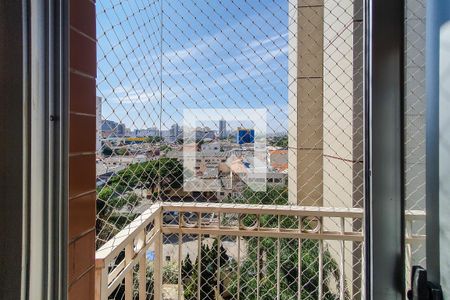 varanda de apartamento para alugar com 2 quartos, 49m² em Cambuci, São Paulo