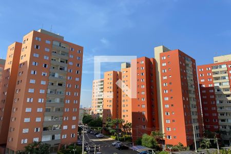 Vista da Sala de apartamento para alugar com 2 quartos, 58m² em Piratininga, Osasco