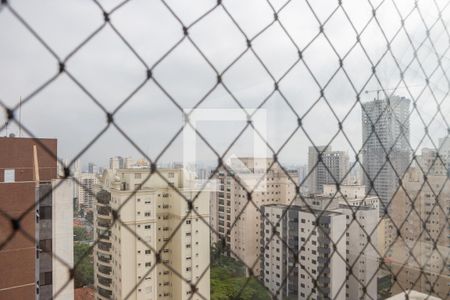 Vista da Sacada de apartamento para alugar com 4 quartos, 285m² em Pompeia, São Paulo