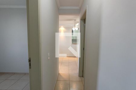 Corredor Quartos de apartamento para alugar com 3 quartos, 60m² em Jardim Márcia, Campinas