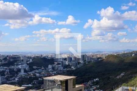 Vista de apartamento para alugar com 3 quartos, 116m² em Buritis, Belo Horizonte