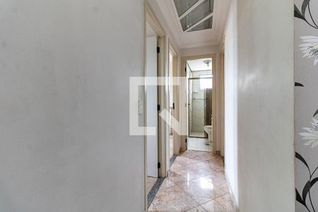 Corredor de apartamento para alugar com 3 quartos, 74m² em Vila Moinho Velho, São Paulo