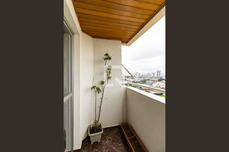 Varanda da Sala de apartamento para alugar com 3 quartos, 74m² em Vila Moinho Velho, São Paulo