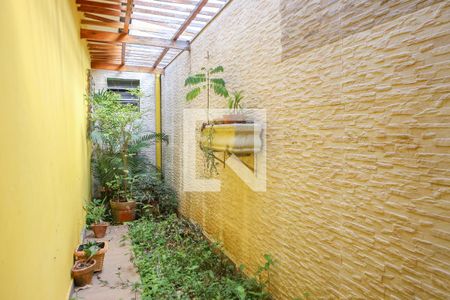 Jardim de Inverno de casa para alugar com 2 quartos, 300m² em Vila Ribeiro de Barros, São Paulo