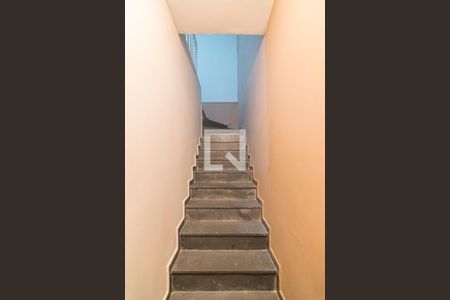 Escada de Entrada de casa à venda com 3 quartos, 236m² em Parque das Nações, Santo André
