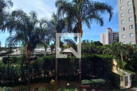 Vista do Quarto 1 de apartamento à venda com 2 quartos, 70m² em São Bernardo, Campinas