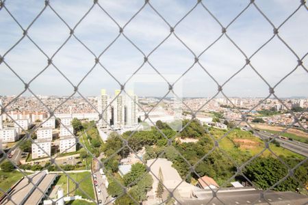 Vista da Suíte de apartamento para alugar com 2 quartos, 55m² em São Pedro, Osasco