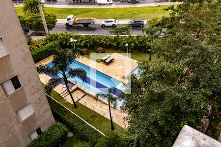 Vista da Piscina de apartamento para alugar com 3 quartos, 60m² em Quinta da Paineira, São Paulo