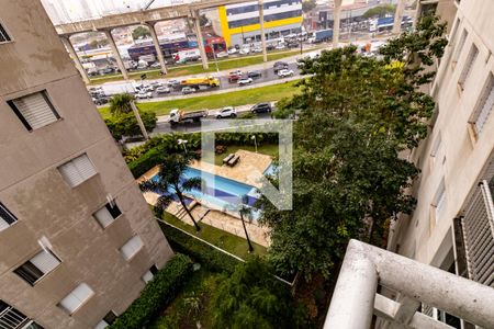 Vista da Piscina de apartamento para alugar com 3 quartos, 60m² em Quinta da Paineira, São Paulo