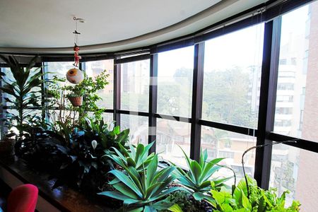Vista da Sala de apartamento à venda com 3 quartos, 260m² em Paineiras do Morumbi, São Paulo
