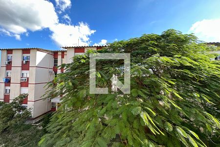 Vista do Quarto 1  de apartamento à venda com 2 quartos, 60m² em São Miguel, São Leopoldo