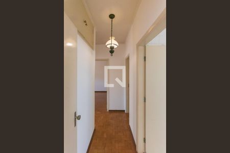 Corredor de apartamento para alugar com 2 quartos, 95m² em Vila Itapura, Campinas