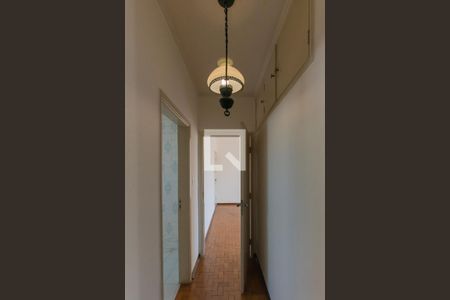 Corredor de apartamento para alugar com 2 quartos, 95m² em Vila Itapura, Campinas