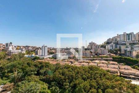 Vista de apartamento para alugar com 2 quartos, 70m² em Buritis, Belo Horizonte