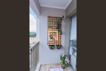 Varanda da sala de apartamento à venda com 3 quartos, 74m² em Vila Mangalot, São Paulo