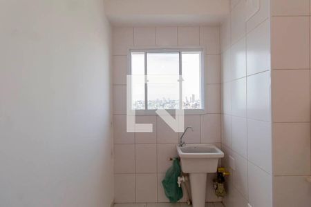 Cozinha e Área de Serviço de apartamento para alugar com 2 quartos, 37m² em Vila Pierina, São Paulo